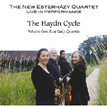 The Haydn Cycle Image